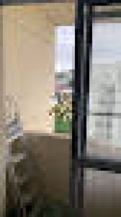 Imagem Apartamento com 2 Quartos à Venda, 55 m² em Demarchi - São Bernardo Do Campo