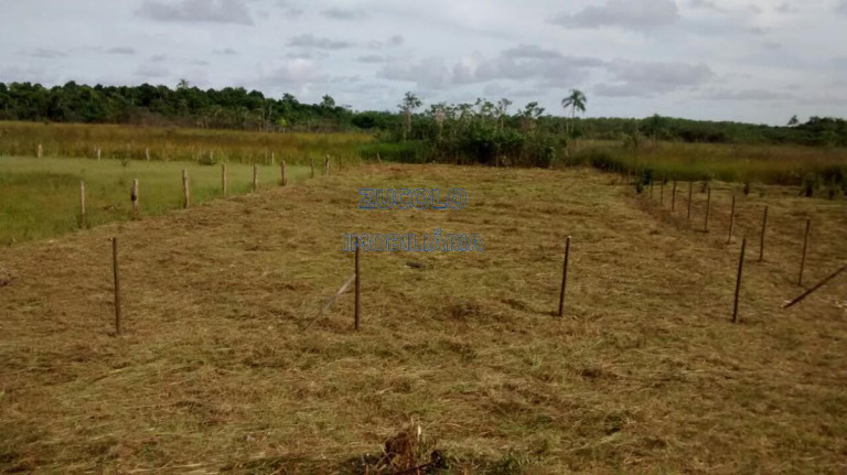 Imagem Terreno à Venda, 6.000 m² em Sorocabinha - Iguape Imagem Terreno à Venda, 6.000 m² em Sorocabinha - Iguape
