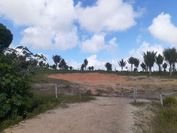 Imagem Imóvel Comercial à Venda, 774.400 m² em Mogiquiçaba - Belmonte Imagem Imóvel Comercial à Venda, 774.400 m² em Mogiquiçaba - Belmonte