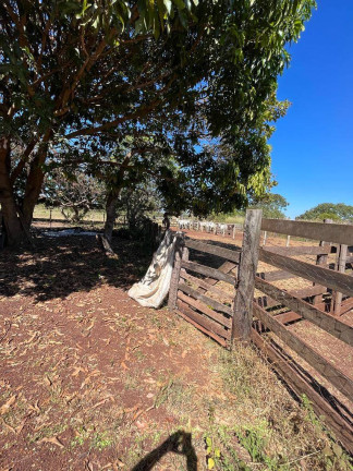 Imagem Chácara com 4 Quartos à Venda, 65 m² em Zona Rural - Rosário Oeste Imagem Chácara com 4 Quartos à Venda, 65 m² em Zona Rural - Rosário Oeste