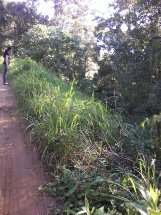 Imagem Terreno à Venda, em Itariri Imagem Terreno à Venda, em Itariri