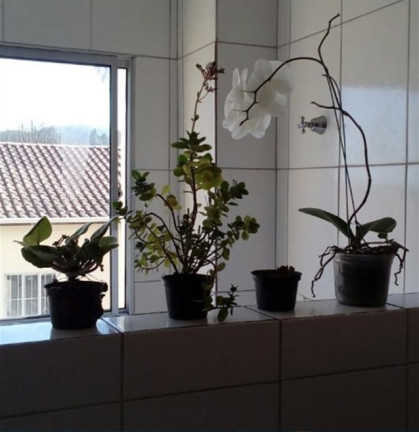 Apartamento com 2 Quartos à Venda, 53 m² em Próximo A Rodovia - Mairiporã