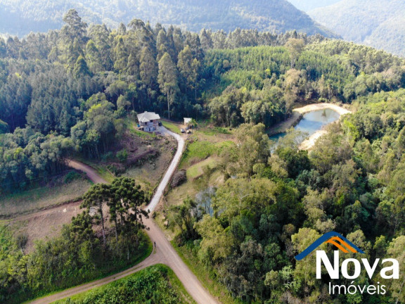 Imagem Imóvel à Venda, 32.549 m² em Linha Olinda - Nova Petrópolis