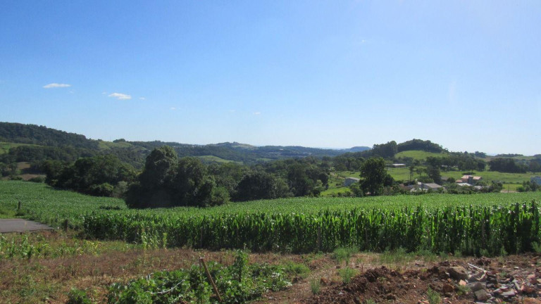 Imagem Terreno à Venda, 400 m² em Interior - Concórdia