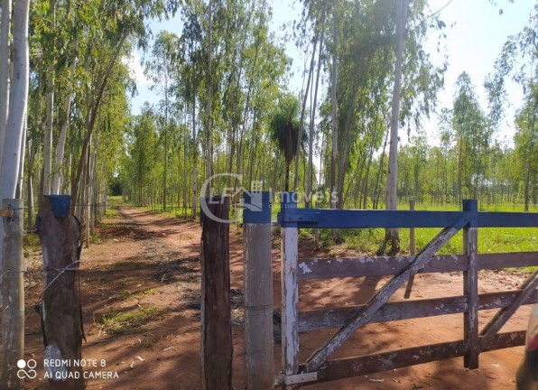 Imóvel com 6 Quartos à Venda,  em Terenos - Terenos