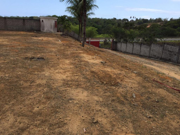 Imagem Galpão para Alugar, 28.000 m² em Areia Branca - Lauro De Freitas Imagem Galpão para Alugar, 28.000 m² em Areia Branca - Lauro De Freitas