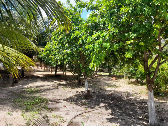 Imagem Terreno à Venda, 1 m² em Barra Do Cunhaú - Canguaretama Imagem Terreno à Venda, 1 m² em Barra Do Cunhaú - Canguaretama