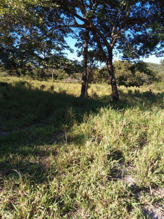 Imagem Fazenda à Venda, 237 m² em Zona Rural - Faina Imagem Fazenda à Venda, 237 m² em Zona Rural - Faina