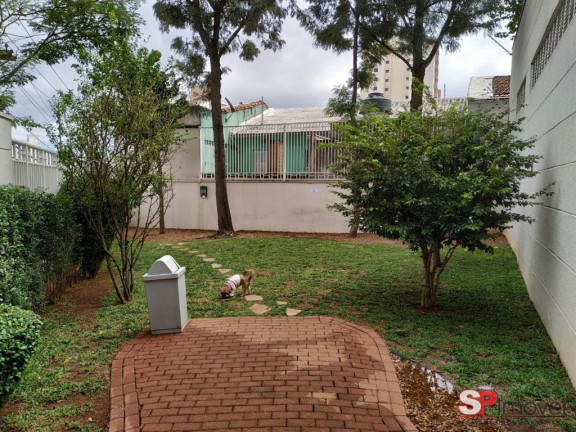 Imagem Apartamento com 3 Quartos à Venda, 110 m² em Vila Gumercindo - São Paulo Imagem Apartamento com 3 Quartos à Venda, 110 m² em Vila Gumercindo - São Paulo