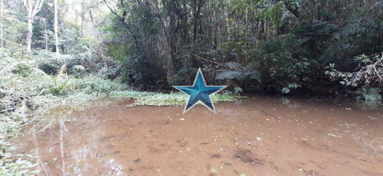 Imagem Imóvel à Venda, 74.000 m² em Fazenda Vitoria - São Lourenço Da Serra
