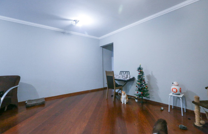 Imagem Apartamento com 3 Quartos à Venda,  em Saúde - São Paulo