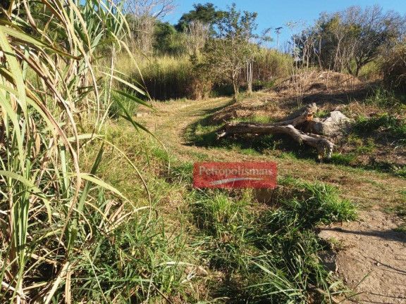 Imagem Fazenda à Venda, 51.000 m² em Areal - Areal