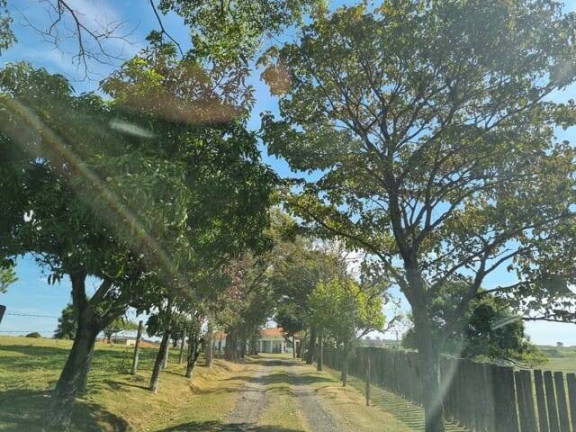 Imagem Chácara com 4 Quartos à Venda, 307 m² em Jardim Marabá - Itapetininga Imagem Chácara com 4 Quartos à Venda, 307 m² em Jardim Marabá - Itapetininga