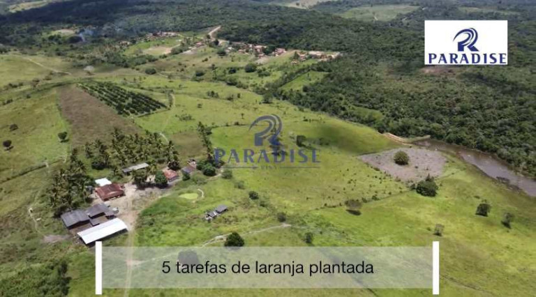 Imagem Fazenda à Venda, 766.000 m² em Zona Rural - Cardeal Da Silva Imagem Fazenda à Venda, 766.000 m² em Zona Rural - Cardeal Da Silva