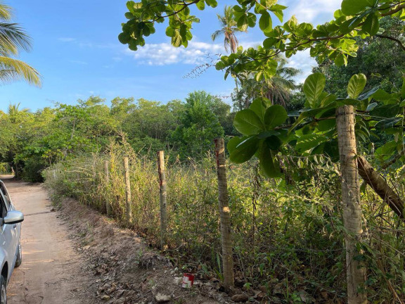 Imagem Terreno à Venda, 795 m² em Santo Antonio - Santa Cruz Cabrália Imagem Terreno à Venda, 795 m² em Santo Antonio - Santa Cruz Cabrália