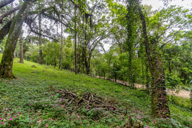 Imagem Terreno à Venda, 745 m² em Santa Felicidade - Curitiba Imagem Terreno à Venda, 745 m² em Santa Felicidade - Curitiba