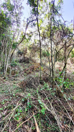 Imagem Terreno à Venda, em Tamborete - Imaruí Imagem Terreno à Venda, em Tamborete - Imaruí