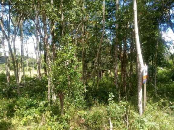Imagem Terreno à Venda, 409 m² em Pousada Da Neve - Nova Petrópolis