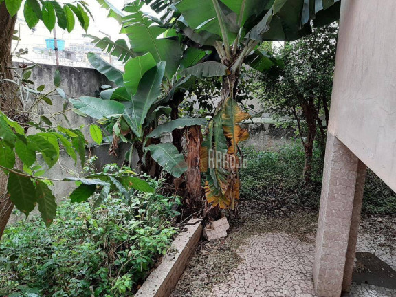 Imagem Sobrado com 4 Quartos à Venda, 259 m² em Vila Ponte Rasa - São Paulo Imagem Sobrado com 4 Quartos à Venda, 259 m² em Vila Ponte Rasa - São Paulo