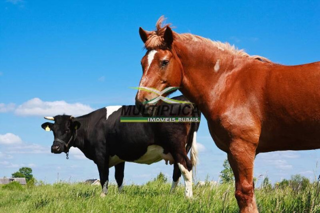 Imagem Chácara à Venda, 2 m² em Uberlândia Imagem Chácara à Venda, 2 m² em Uberlândia