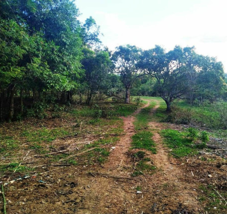 Imagem Terreno à Venda, 5.000 m² em Bom Jardim I - Guaratinguetá Imagem Terreno à Venda, 5.000 m² em Bom Jardim I - Guaratinguetá