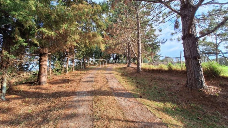 Imagem Imóvel à Venda, 29 m² em Barra Do Bié - Cunha Imagem Imóvel à Venda, 29 m² em Barra Do Bié - Cunha