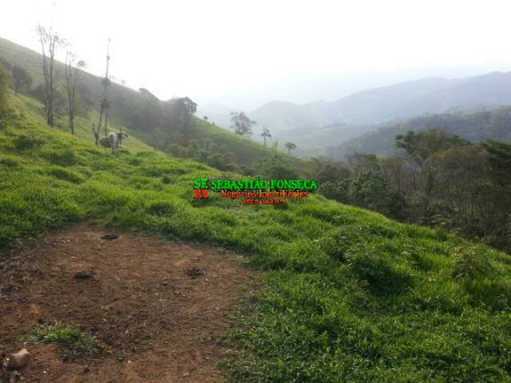 Chácara à Venda, 20.000 m² em São Francisco Xavier - São José Dos Campos
