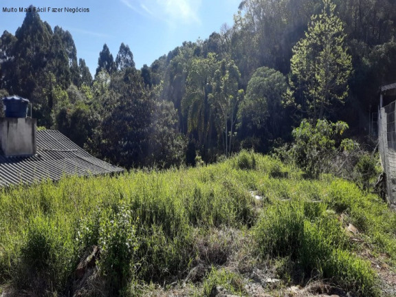 Imagem Terreno à Venda, 520 m² em Piá - Nova Petrópolis Imagem Terreno à Venda, 520 m² em Piá - Nova Petrópolis