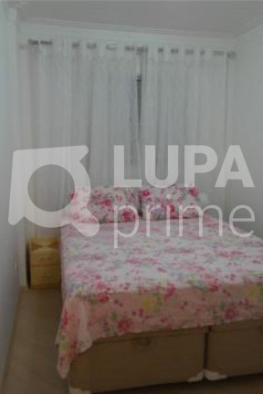 Imagem Apartamento com 3 Quartos à Venda, 75 m² em Vila Mazzei - São Paulo Imagem Apartamento com 3 Quartos à Venda, 75 m² em Vila Mazzei - São Paulo
