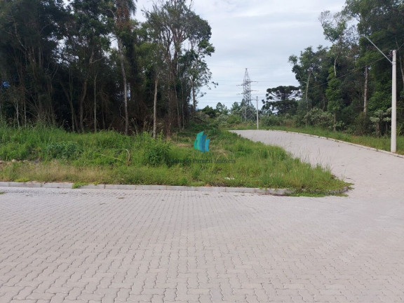 Imagem Terreno à Venda, 360 m² em Santo Antão - Bento Gonçalves