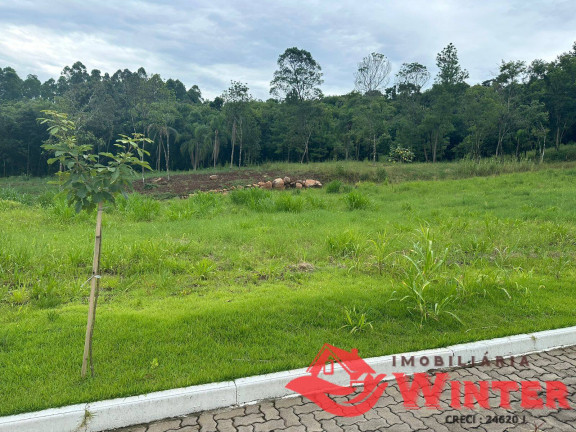 Imagem Terreno à Venda, 390 m² em Picada Cara - Feliz