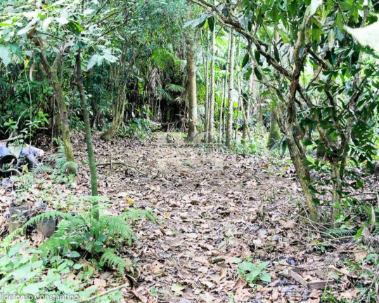 Imagem Terreno à Venda, 84.000 m² em Vargem Pequena - Rio De Janeiro Imagem Terreno à Venda, 84.000 m² em Vargem Pequena - Rio De Janeiro
