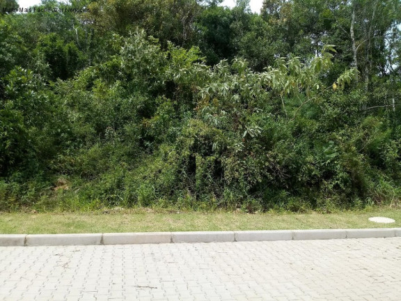 Terreno à Venda, 370 m² em Linha Imperial - Nova Petrópolis