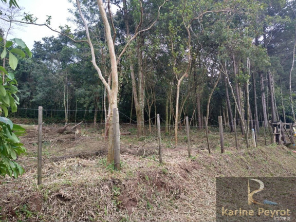 Imagem Terreno à Venda, 300 m² em Campestre - São Leopoldo Imagem Terreno à Venda, 300 m² em Campestre - São Leopoldo