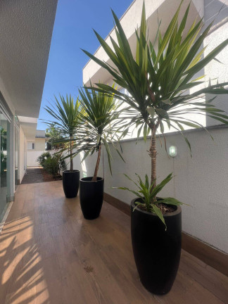 Imagem Casa com 4 Quartos à Venda, 230 m² em Jardins Verona - Goiânia