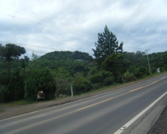 Terreno à Venda, 6.467 m² em Piá - Nova Petrópolis