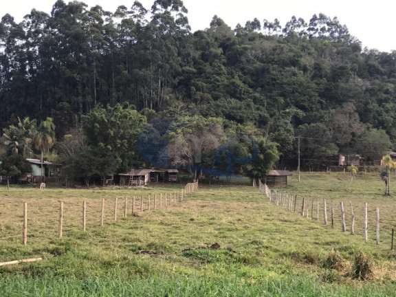Imagem Fazenda à Venda, 120.000 m² em Jacaré - Torres