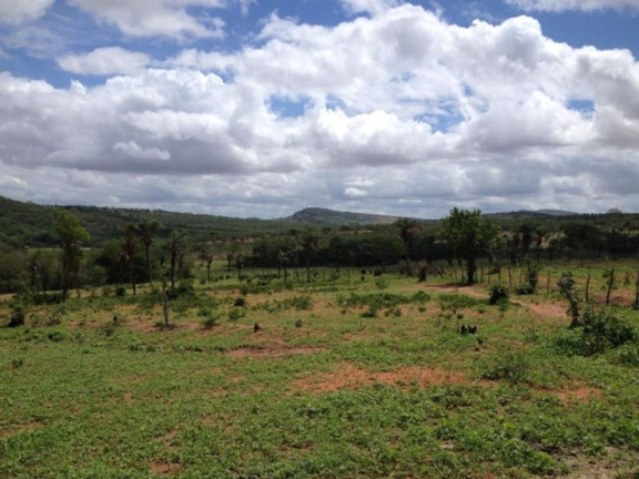 Imagem Fazenda à Venda, 200 m² em Br 116 - Euclides Da Cunha Imagem Fazenda à Venda, 200 m² em Br 116 - Euclides Da Cunha