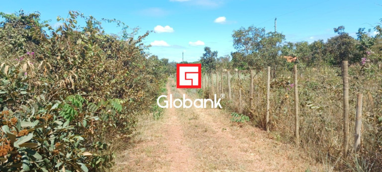 Imagem Imóvel com 3 Quartos à Venda, 12.000 m² em São João Das Veredas - Montes Claros