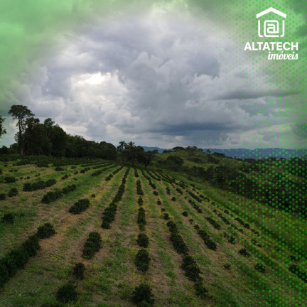 Imagem Imóvel à Venda, 48 m² em Roseira - Bandeira Do Sul Imagem Imóvel à Venda, 48 m² em Roseira - Bandeira Do Sul