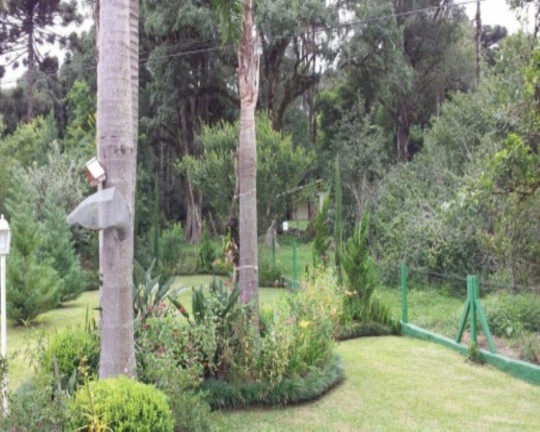 Imagem Casa com 4 Quartos à Venda, 308 m² em Linha Imperial - Nova Petrópolis