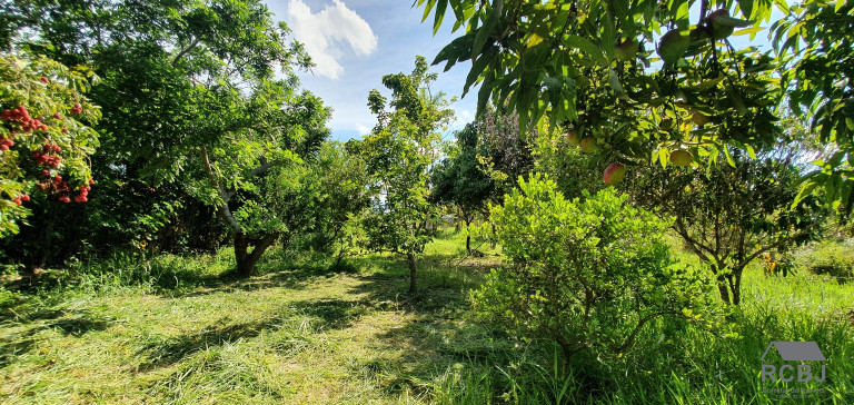 Imagem Imóvel com 3 Quartos à Venda, em Cidade Jardim - Esmeraldas Imagem Imóvel com 3 Quartos à Venda, em Cidade Jardim - Esmeraldas