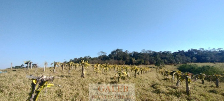 Imagem Terreno à Venda, 21.908 m² em Jardim Maracanã - Atibaia Imagem Terreno à Venda, 21.908 m² em Jardim Maracanã - Atibaia