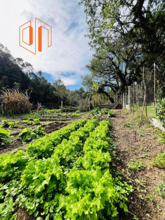 Imagem Imóvel à Venda, 10.000 m² em Contenda - São José Dos Pinhais