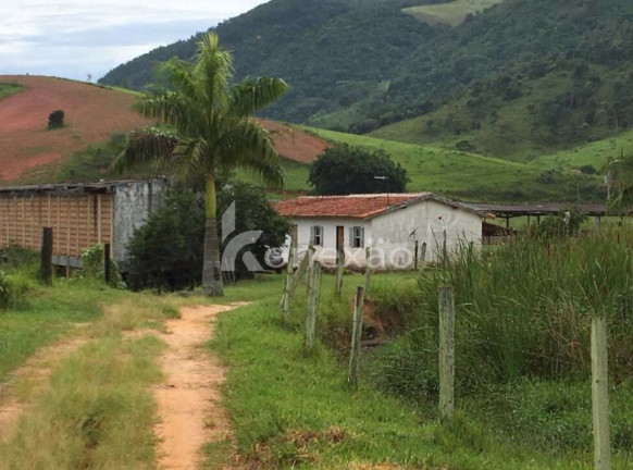 Imagem Fazenda à Venda, 400 m² em Jardim Prado - Santa Branca