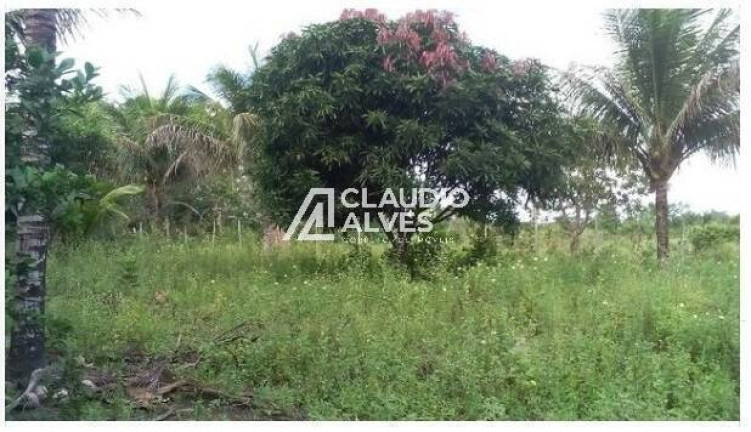 Imagem Terreno à Venda, 13.000 m² em Br 324 - Amélia Rodrigues Imagem Terreno à Venda, 13.000 m² em Br 324 - Amélia Rodrigues