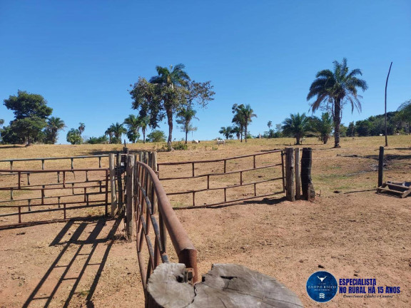 Imagem Fazenda à Venda, 100 m² em Zona Rural - Aruanã Imagem Fazenda à Venda, 100 m² em Zona Rural - Aruanã