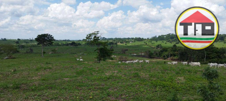 Imagem Fazenda à Venda, 5.082.000 m² em Zona Rural - São Domingos Do Araguaia Imagem Fazenda à Venda, 5.082.000 m² em Zona Rural - São Domingos Do Araguaia