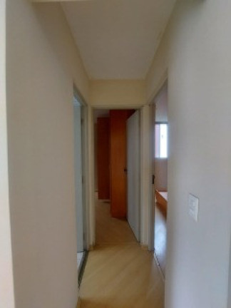 Imagem Apartamento com 2 Quartos à Venda, 53 m² em Jardim Celeste - São Paulo