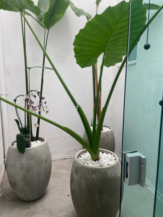 Imagem Casa com 3 Quartos à Venda,  em Vila Pires - Santo André